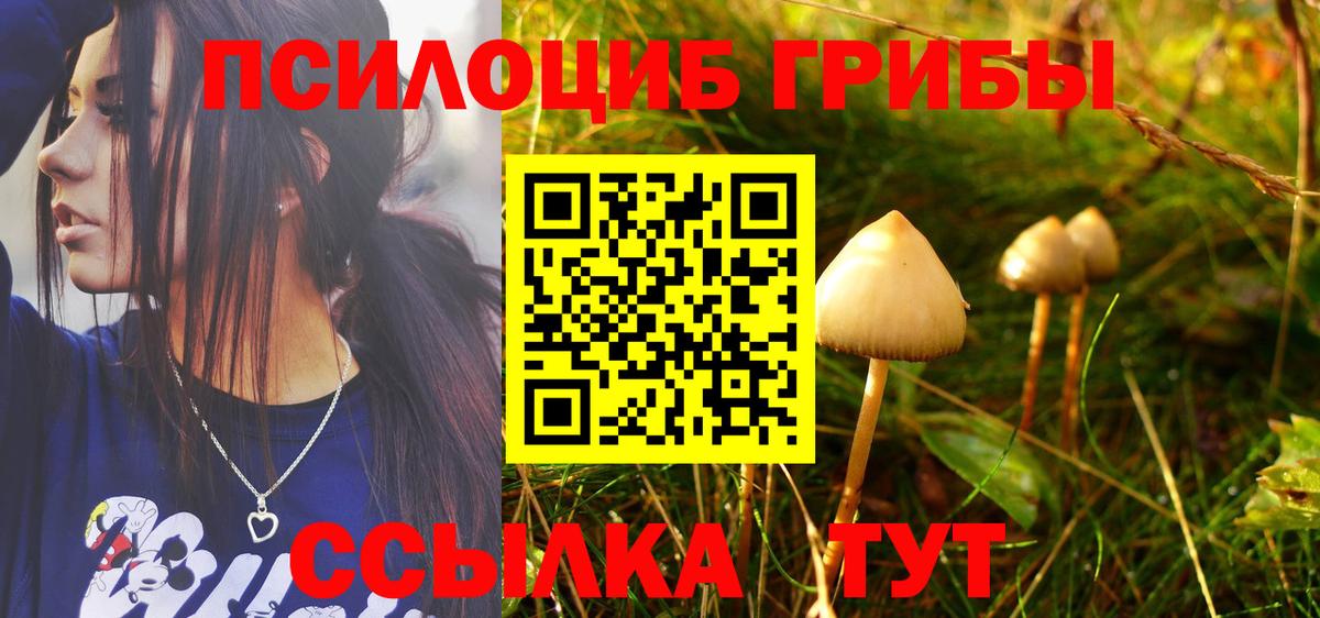 Галлюциногенные грибы MAGIC MUSHROOMS Дальнегорск