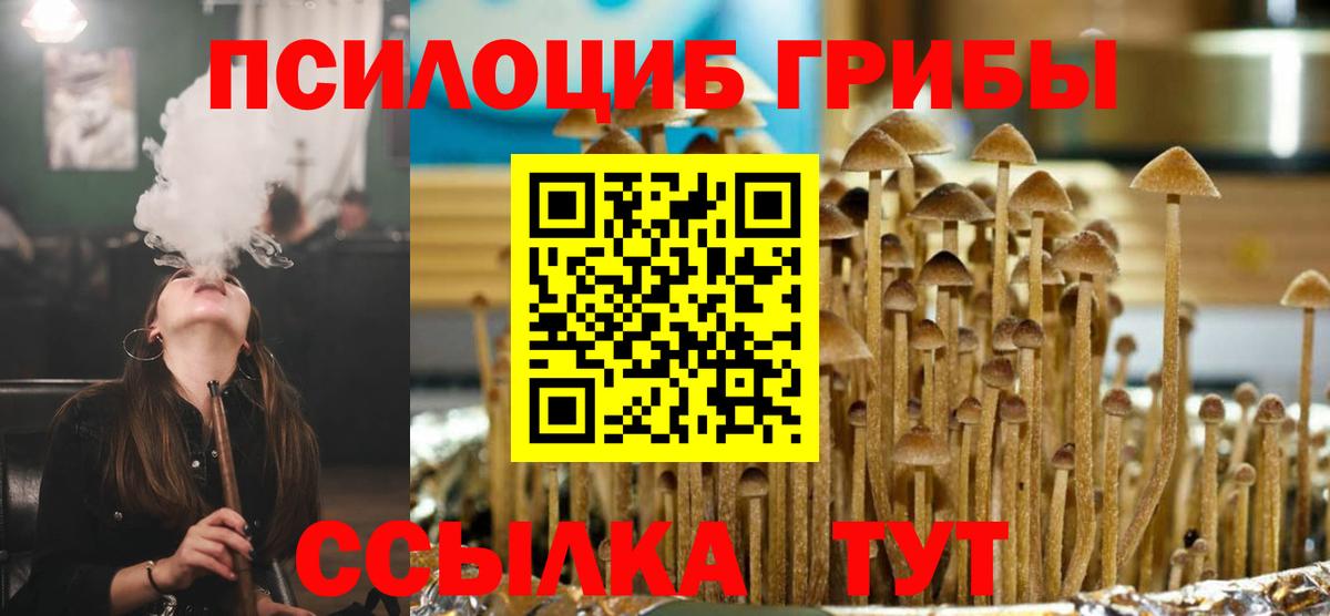 Дальнегорск  Псилоцибиновые грибы Cubensis  Вход с VPN 